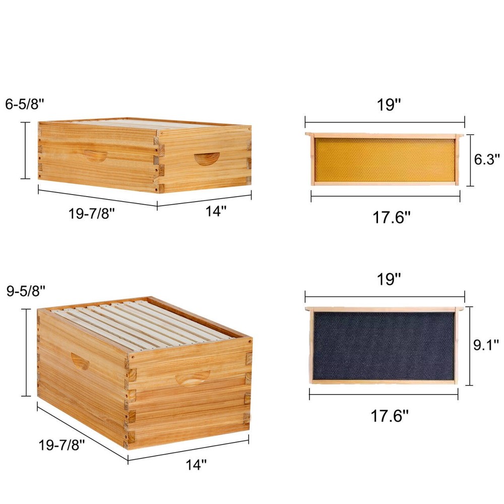 8 Frame Langstroth Bee Hive Coated with Beeswax Includes Beehive Frames