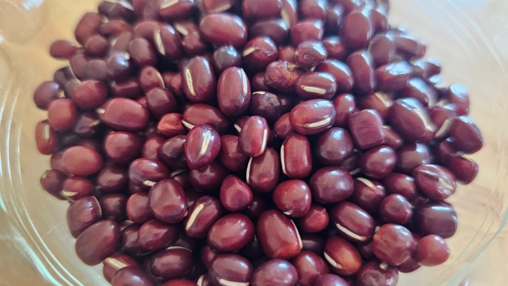 Adzuki Beans
