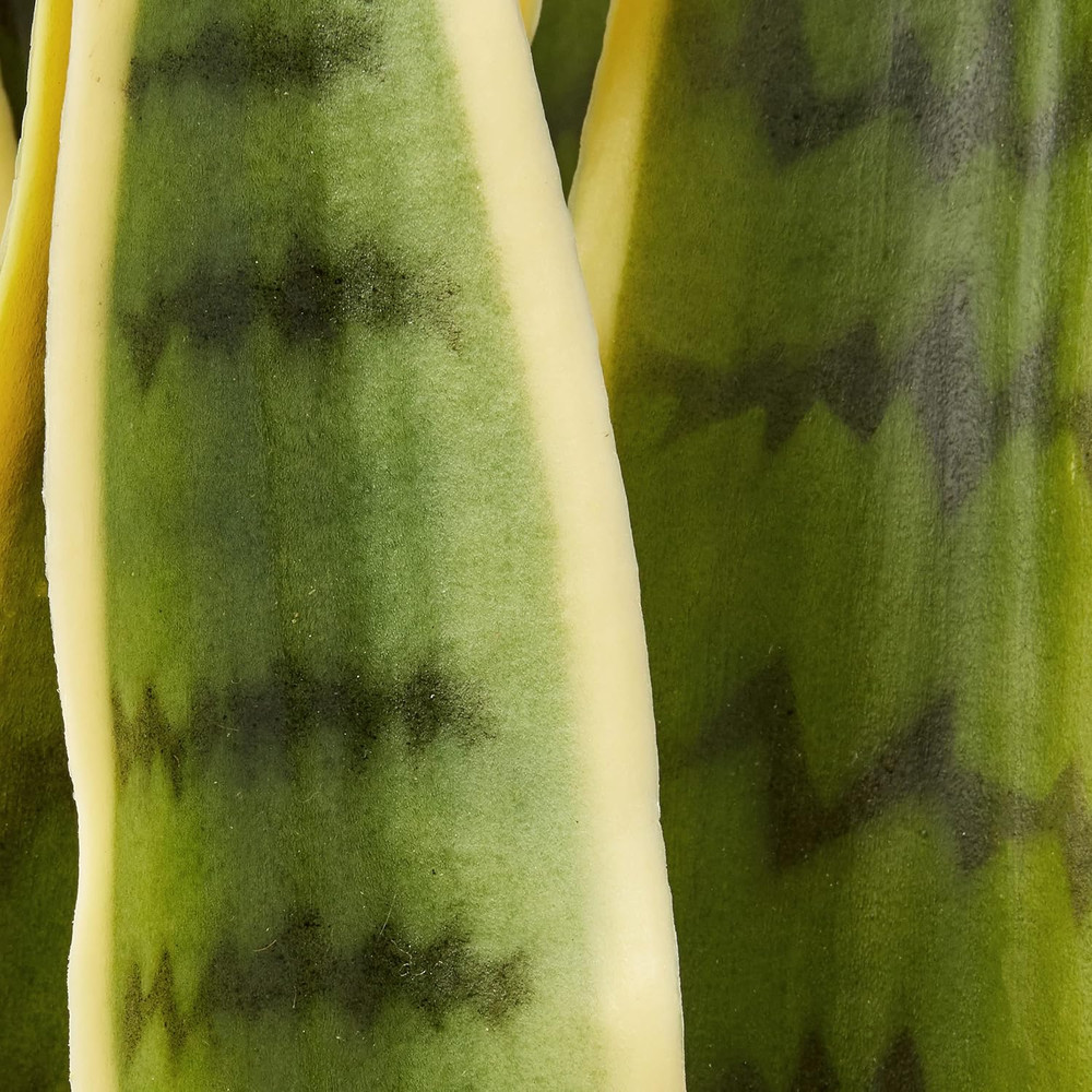 33” Sansevieria Artificial Silk Plants Green