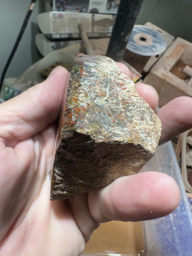 Dinosaur bone polished end cut specimen.