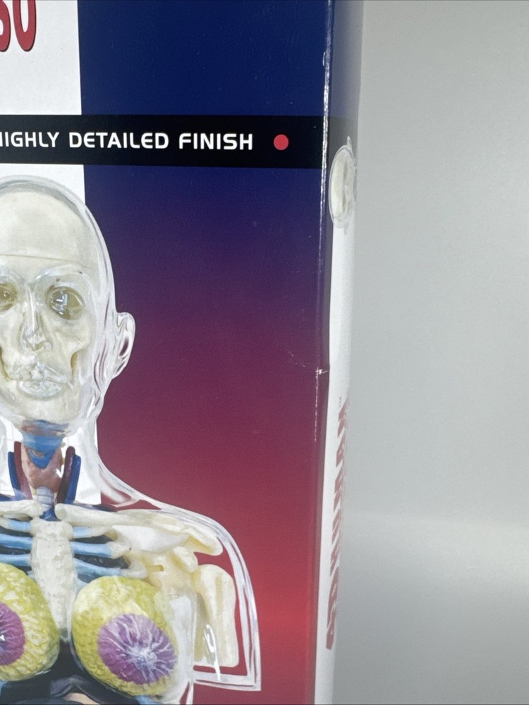 NEW Supreme Transparent Pregnancy Torso