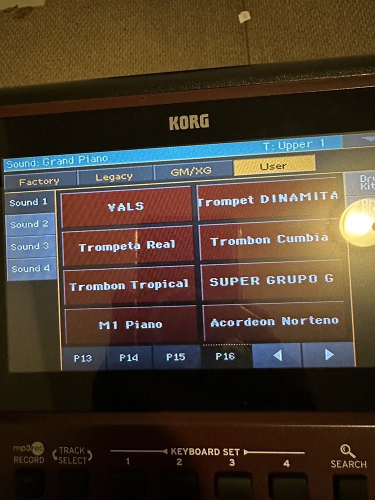 Samples Profesionales Para korg Pa 700,1000,4X. En Una USB (171 samples )