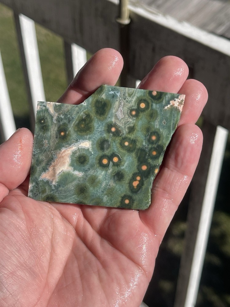 Ocean Jasper Slab