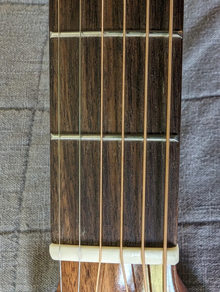 Washburn Bella Tono Elite W/Case