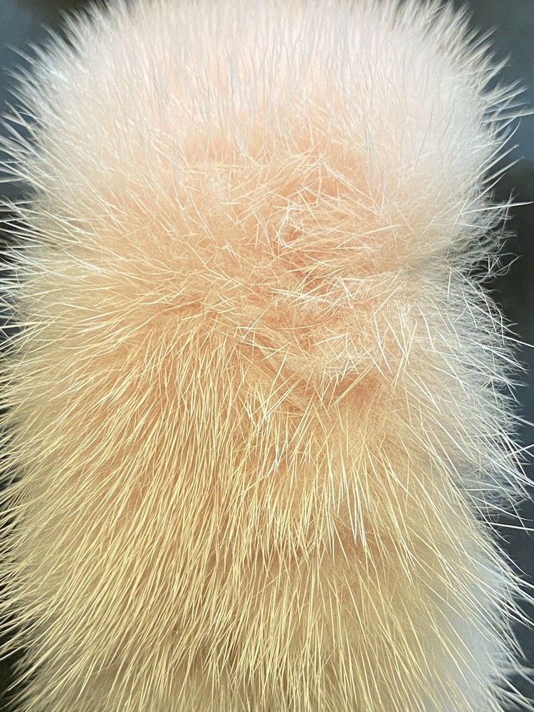 Artisan Soft Pink Mink Bangle Bracelet Silver Tone