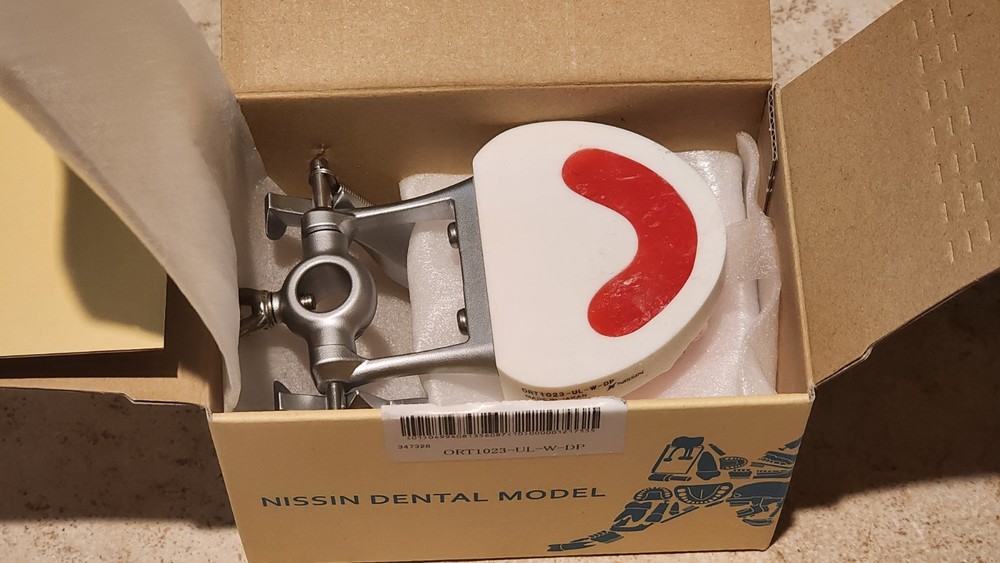 Dental typodont orthodontics model With teeth training practice system