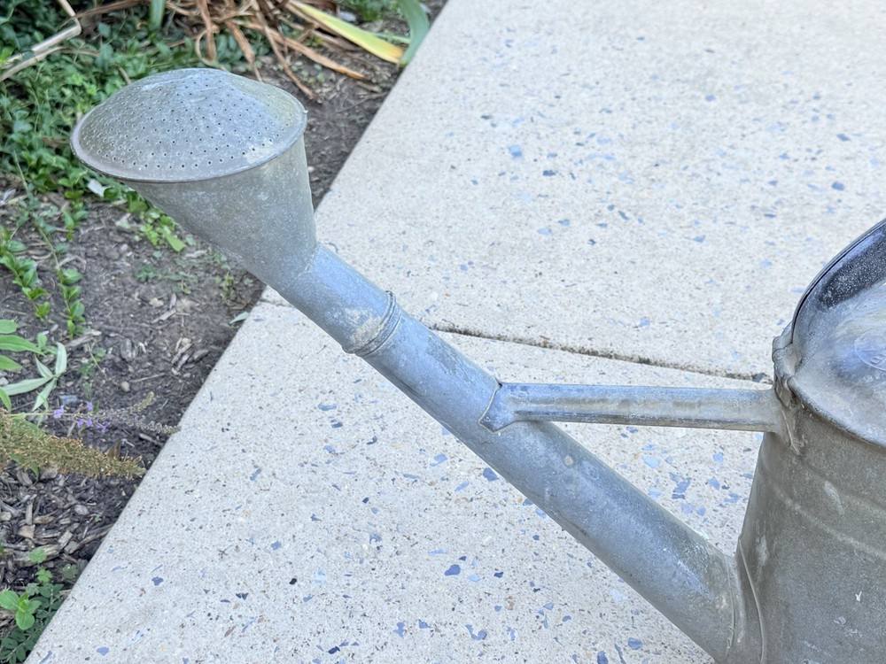 RARE Antique GERMAN BAT GALVANIZED Watering Can