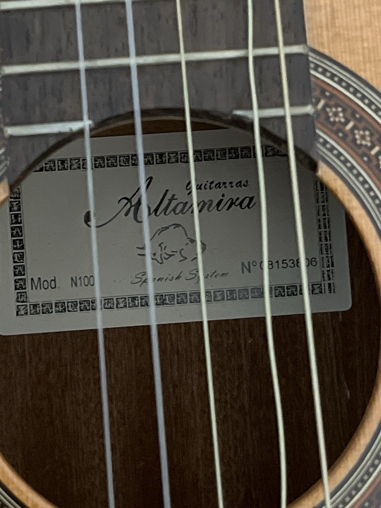 Altamira N100 Guitar