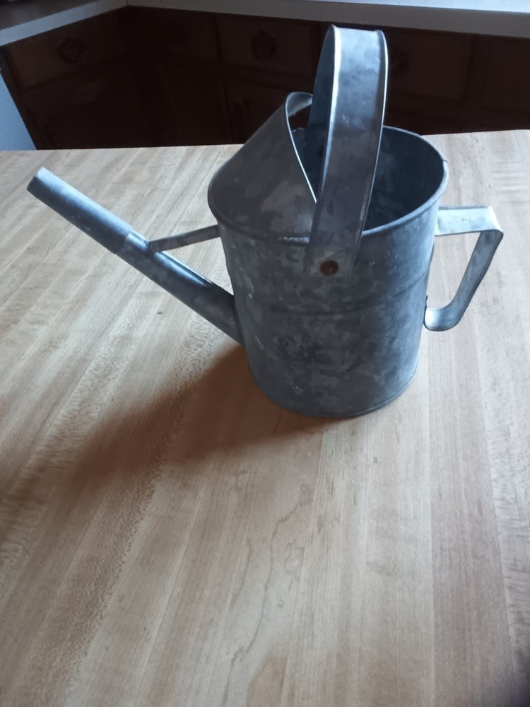 Galvanized watering can small