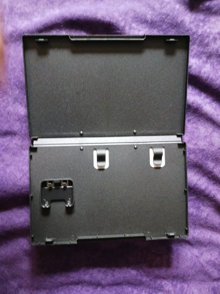 Immortal Phoenix Rising Case Switch, Just Case No Game.