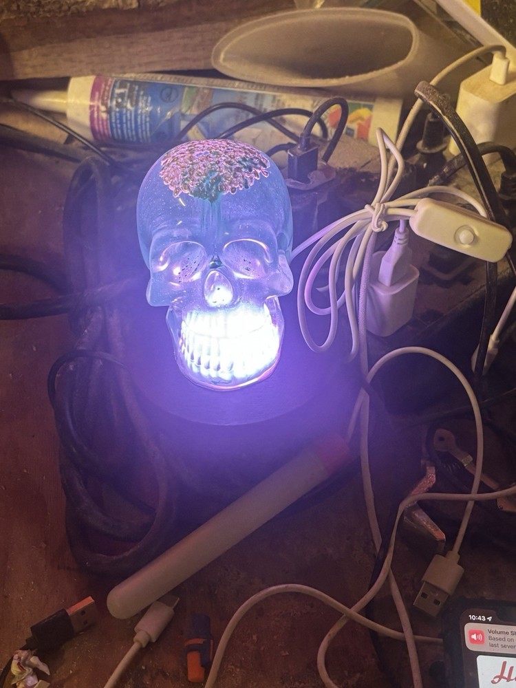 The Locker Mint Color-Changing Skull LED Light with Remote Control