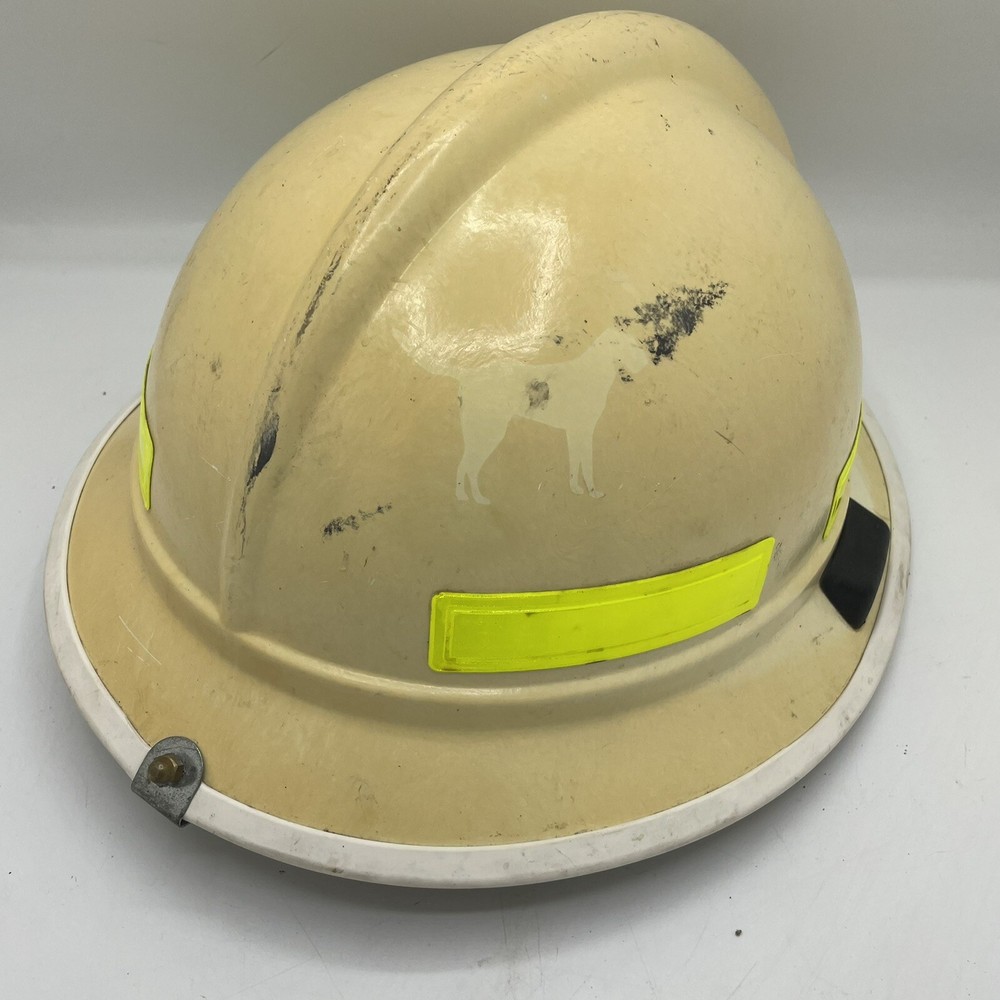 Morning Pride Fire Helmet