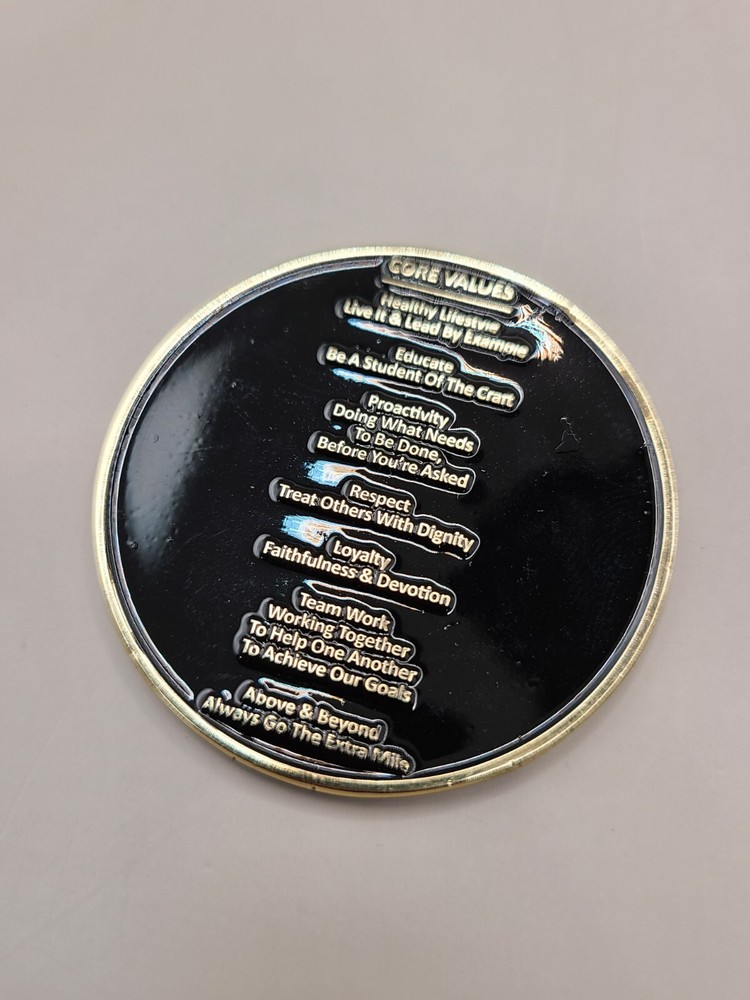 Challenge Coin Warrior Consulting Core Value 2" Dia