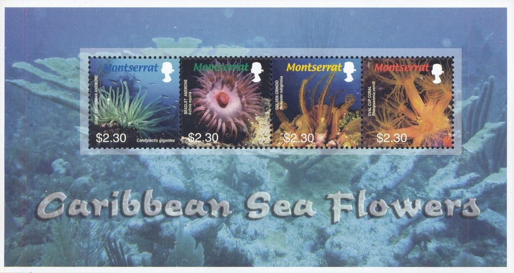 Montserrat Scott #'s 1150 MNH