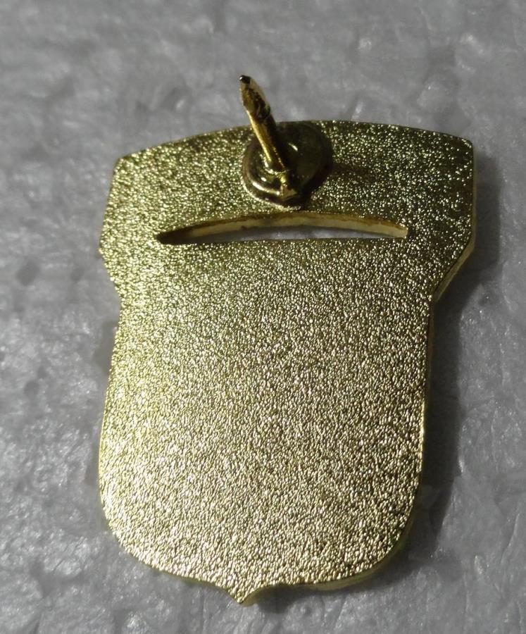 101st Airborne Division - Hat Pin