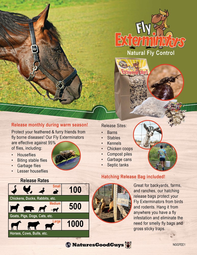 NaturesGoodGuys Fly Exterminators 50,000 Size