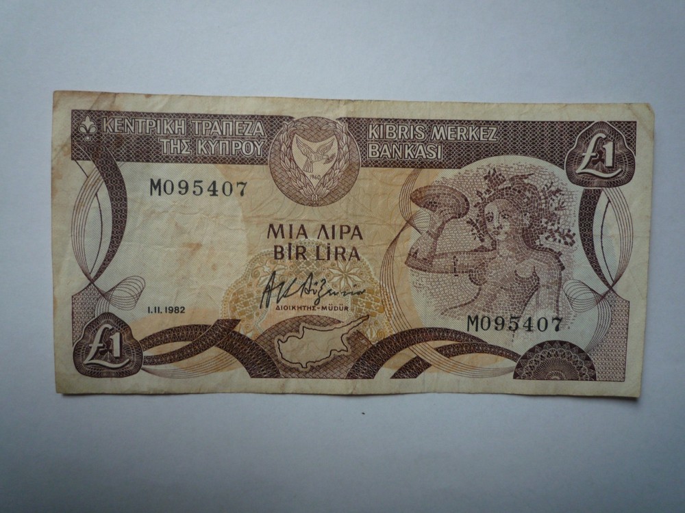 Cyprus 1 Lira 1982 (407)