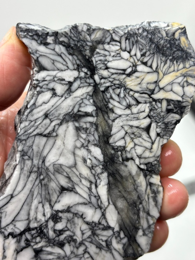 Rare Pinolith Slab Austria Cabbing Lapidary Combo Ship Avail
