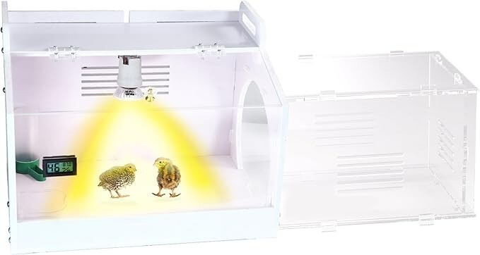 Iarge-Scale Chick brooder Box Quail Cage Egg Incubator Chick Starter Kit Chic...