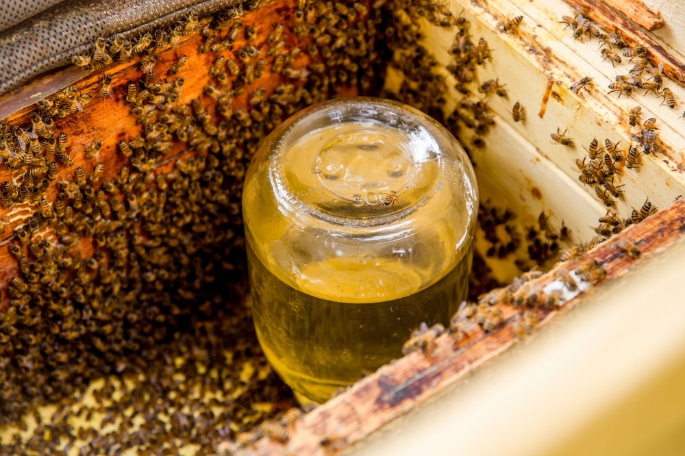 Bee-Sweet Liquid Bee Feed
