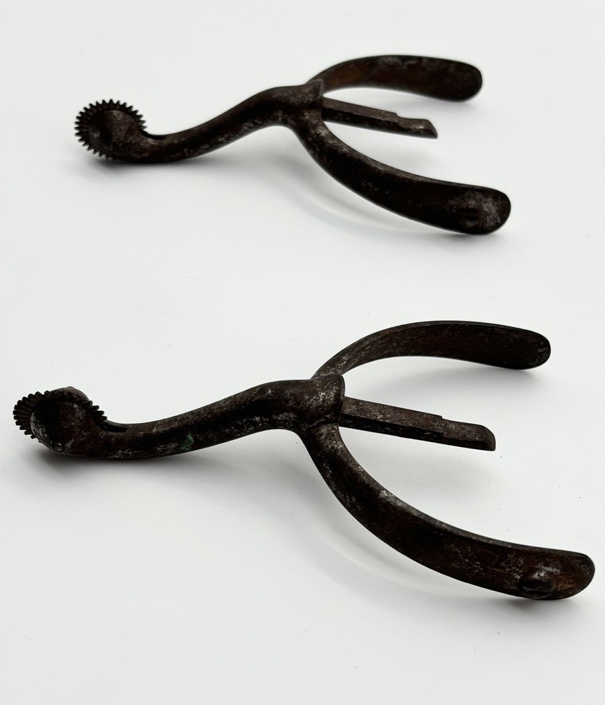 Swan Neck Spurs