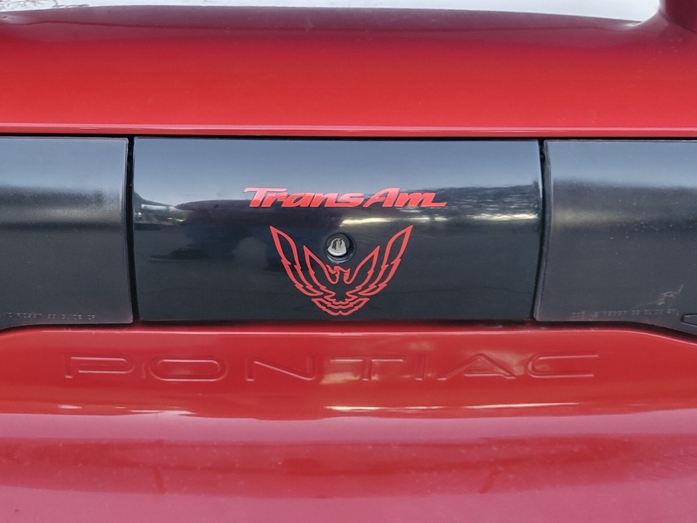 Trans Am Rear Panel Overlay Decal - 93-02 Trans Am
