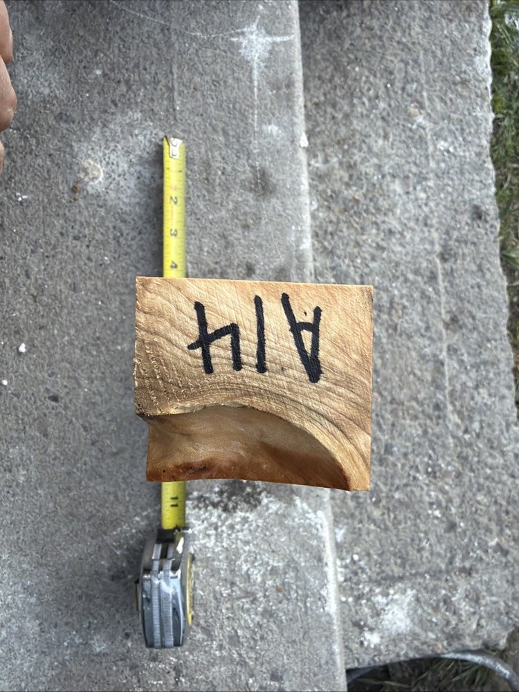 English Walnut Handle Blank Billet Figured A14