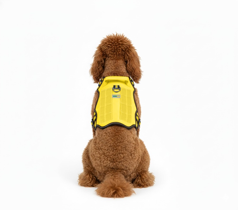 . Premium No-Pull Tactical Dog Harness with Adjustable Straps, Soft Padded De...