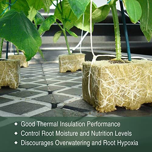 1" Rockwool Grow Cubes Starter Plugs for Plant Growing Rooting, 4 Sheets
