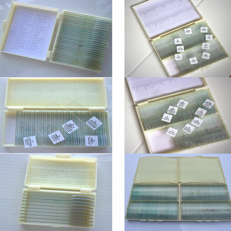 Prepared Microscope Slides Specimen Glass Set with Plastic Storage Box & Label