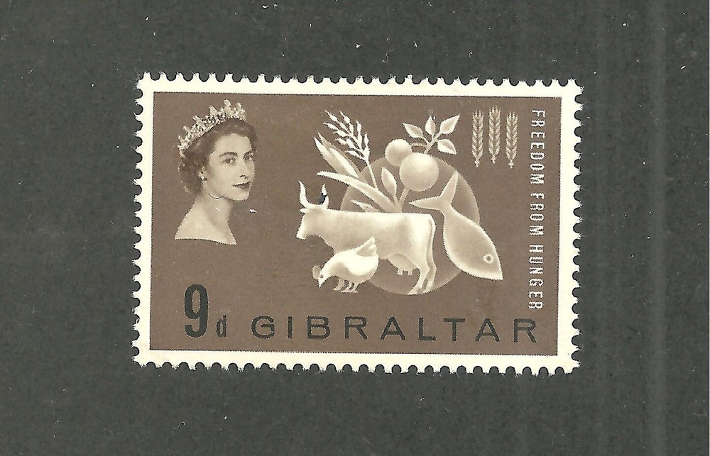 GIBRALTAR SC:161 H, OG (Z737)