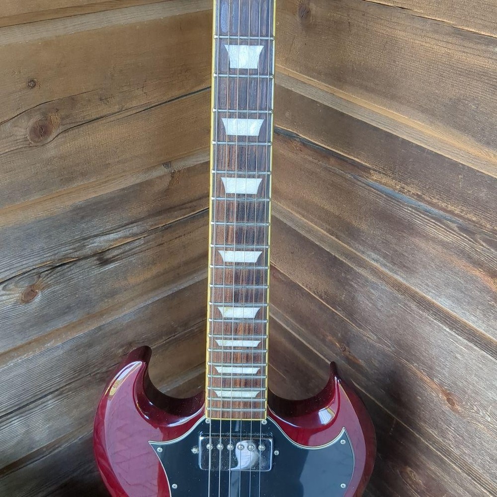 Burny Super Grade Guitar Case Safe Packing!