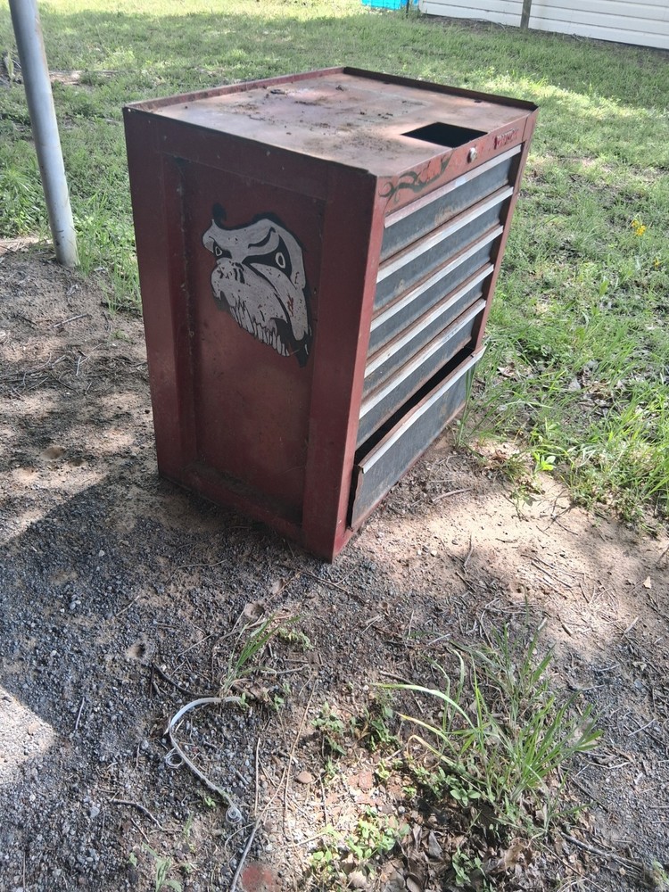 Craftsman 6-drawer lower toolbox featuring unique hand-painted artwork