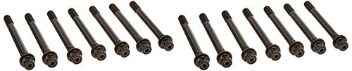 202-4301 Head Stud Kit
