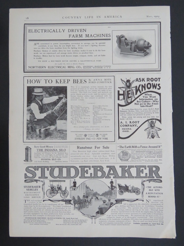 1905 B&W 9x13 Lithograph Studebaker Automobile & Poultry Advertisements 2-sided