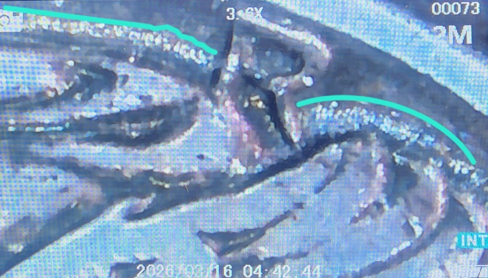 1941 ERROR MERCURY SILVER DIME 10C MULTIPLE DOUBLED STIKES & DOUBLED DIES