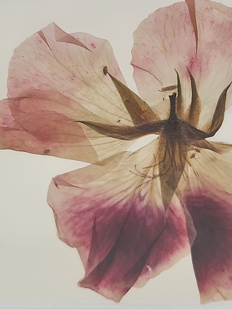 Copper Foiled Frame/Pressed & Dried Flowers Between Glass Coasters
