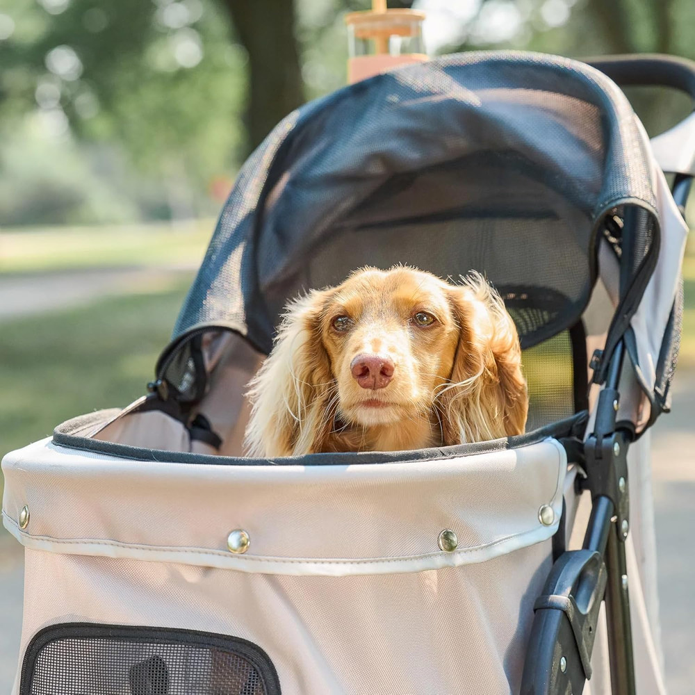 Stroller, Includes 360 Degree Front Wheel Swivel, Rear Wheel Breaks, Reflective
