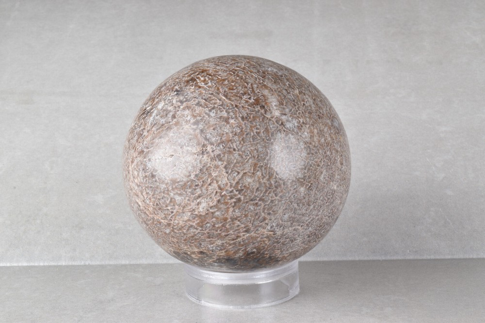 Large Dinosaur Bone Sphere from Morocco 7.7 cm # 21479