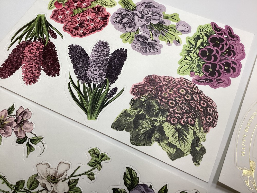 Anna Griffin Trelliage Die Cuts 8 Sheets RARE