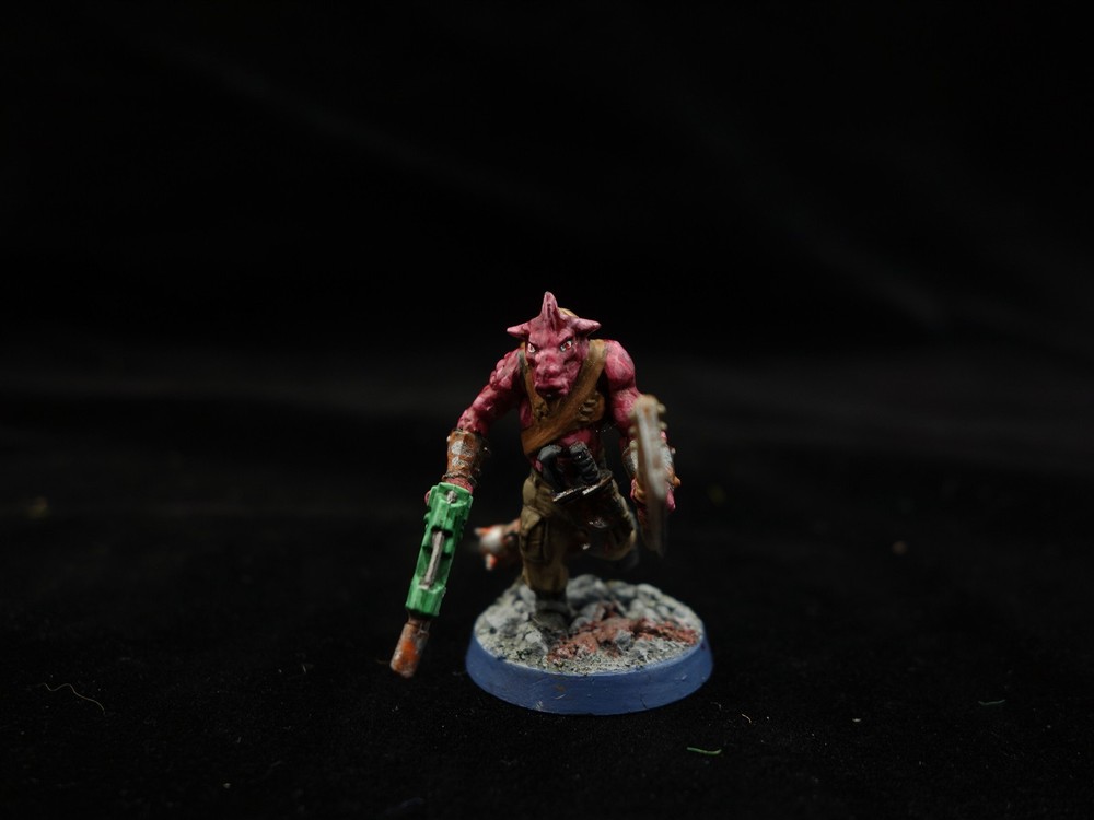 Warhammer 40K: Mutant Conversions (painted)