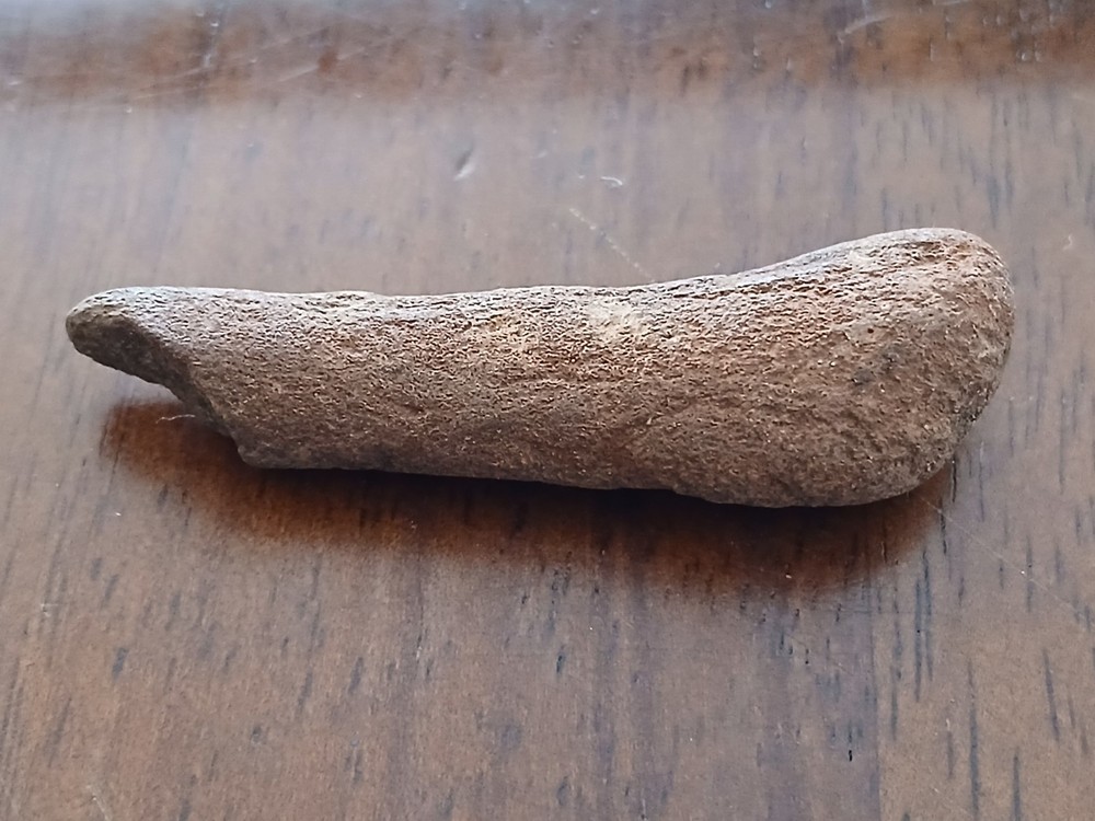 Fossilized bone Unknown specimen New Mexico