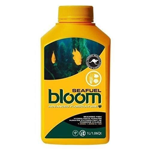 Bloom Yellow Bottle - Seafuel / 1 Liter