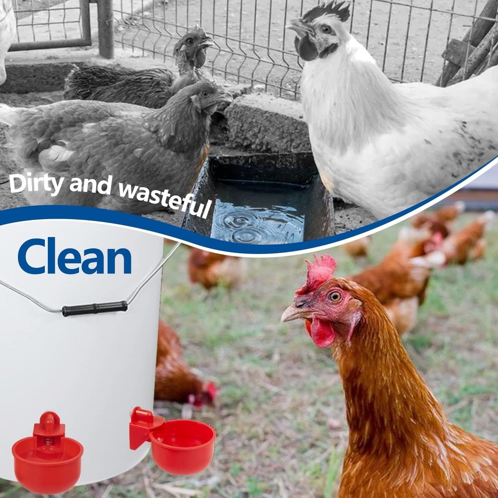 Effortless Hydration for Poultry - 4 Pack Chicken Watering Cups System