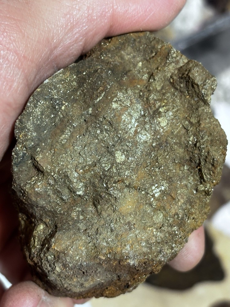 rich az silver and gold ore