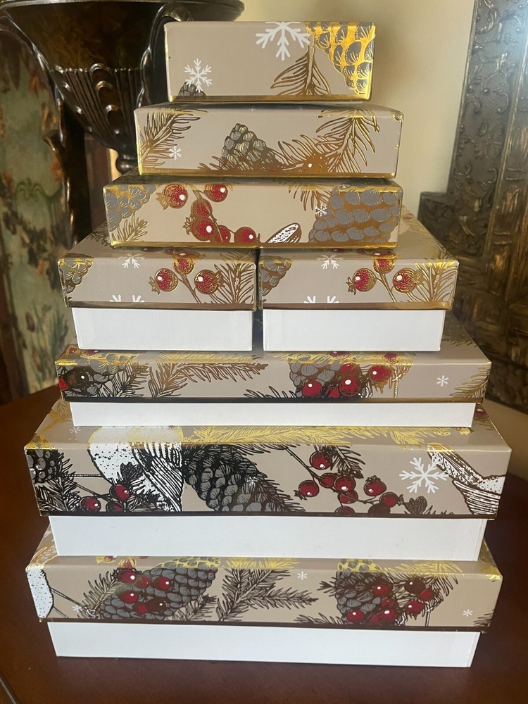 The Fruit Company (8) Decorative Gift Boxes Christmas Birds Pinecones EMPTY