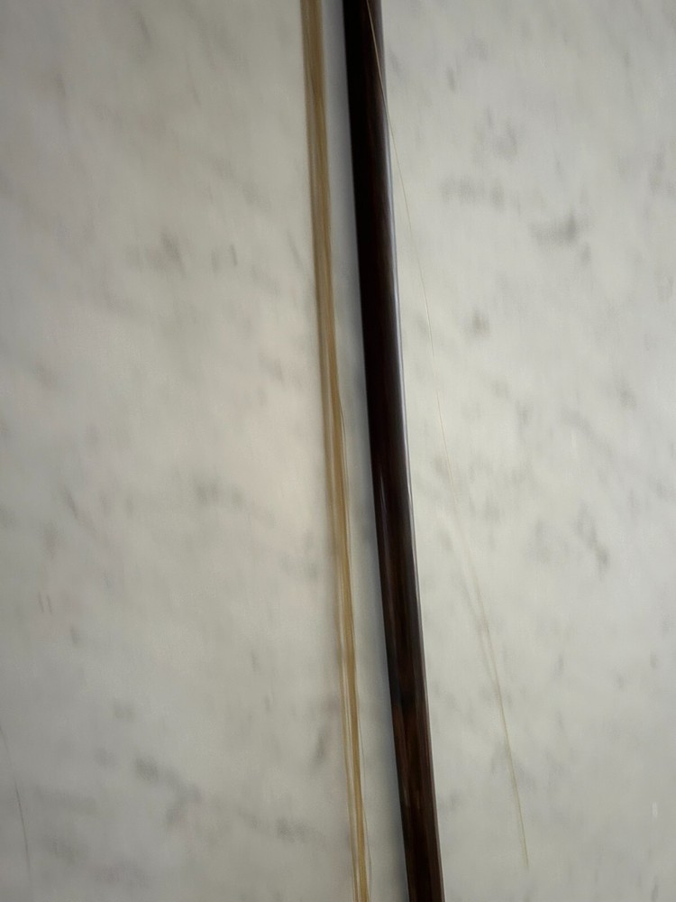 Violin Bow
