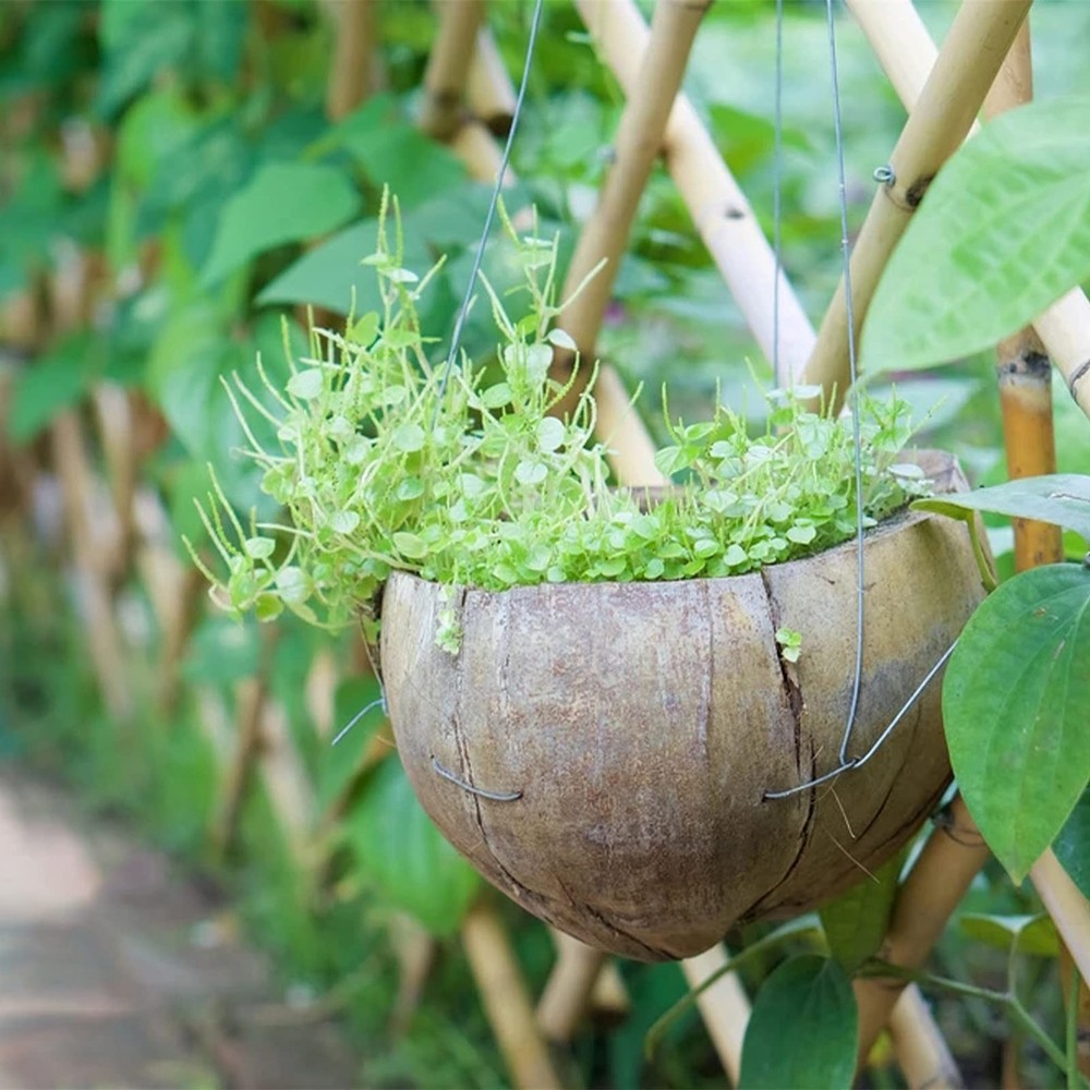 19 Gauge Galvanized Solid Wire,98ft Hobby Wire,Multi-Purpose...