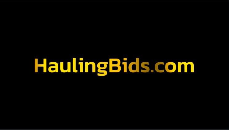 HaulingBids.com dot com domain name