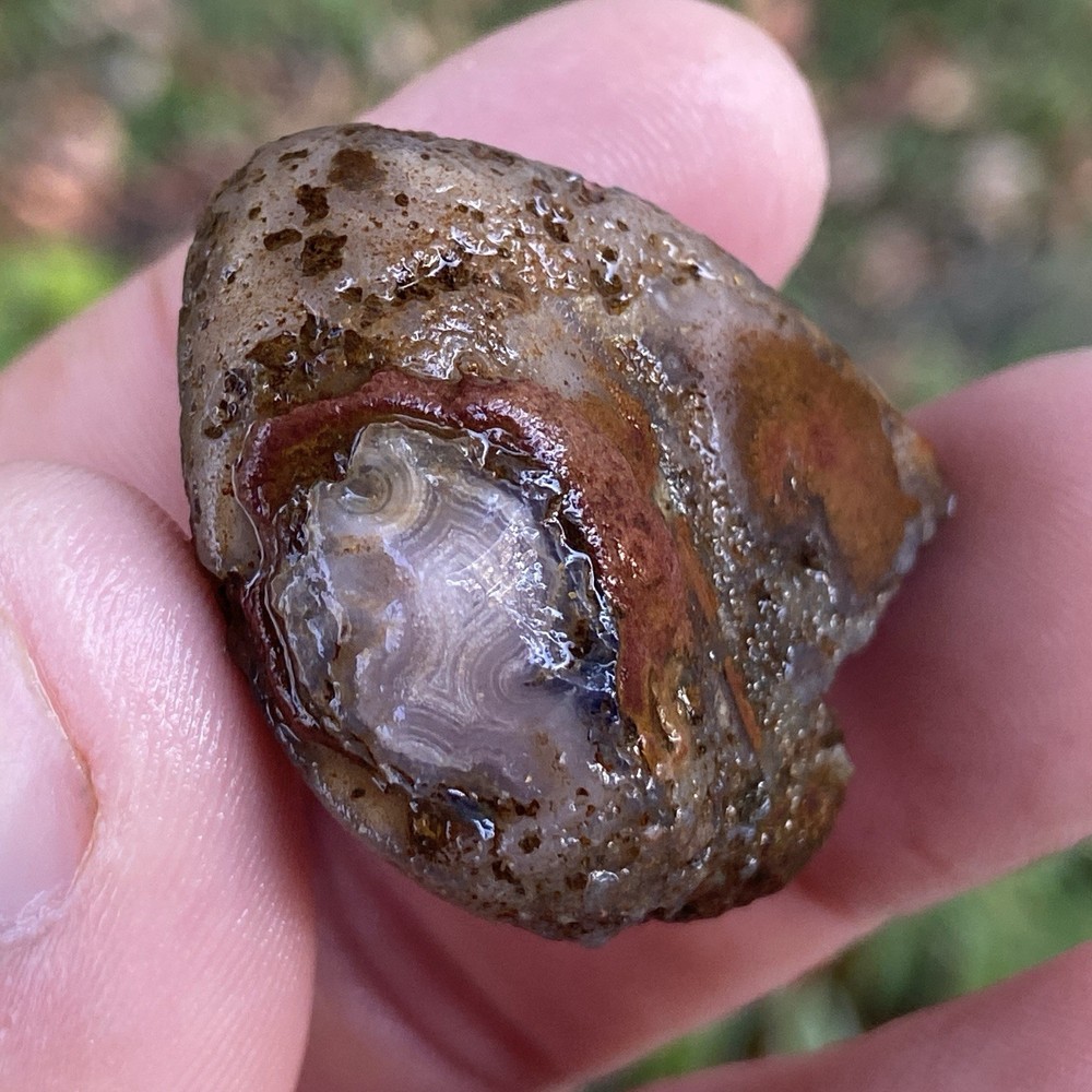 Lake Superior Agate Rough 0.85 Oz